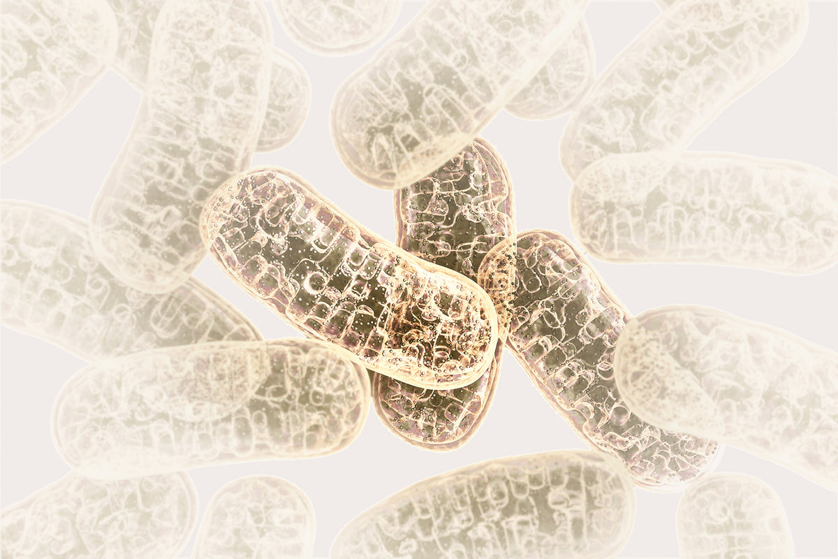 What can glutathione do for your mitochondria?